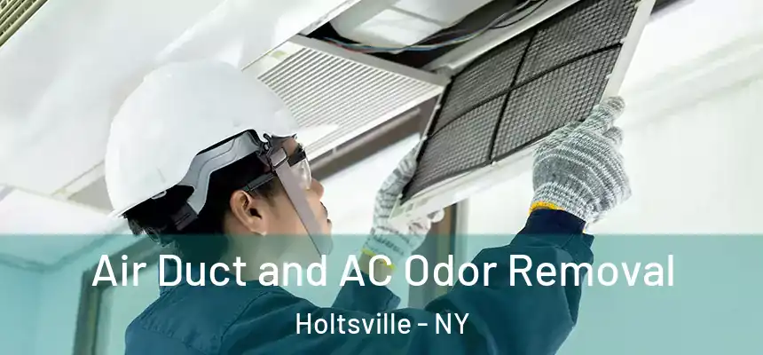  Air Duct and AC Odor Removal Holtsville - NY