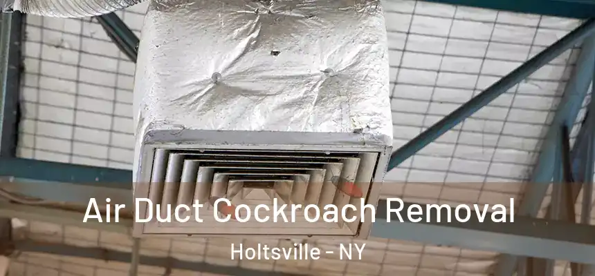 Air Duct Cockroach Removal Holtsville - NY