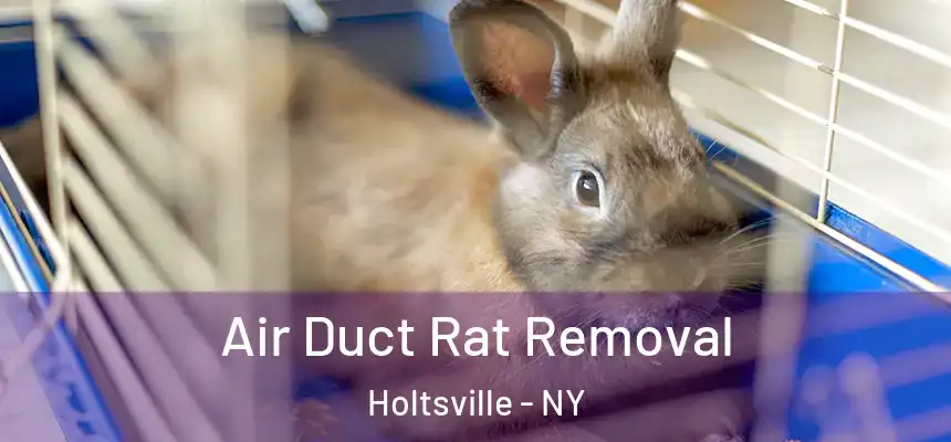 Air Duct Rat Removal Holtsville - NY