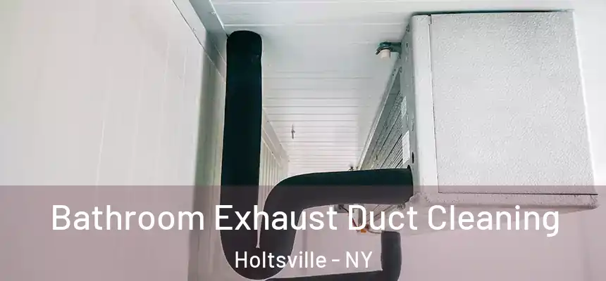  Bathroom Exhaust Duct Cleaning Holtsville - NY
