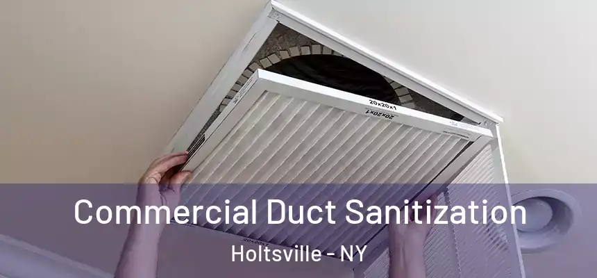  Commercial Duct Sanitization Holtsville - NY