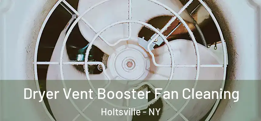  Dryer Vent Booster Fan Cleaning Holtsville - NY