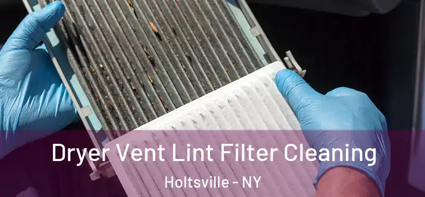  Dryer Vent Lint Filter Cleaning Holtsville - NY