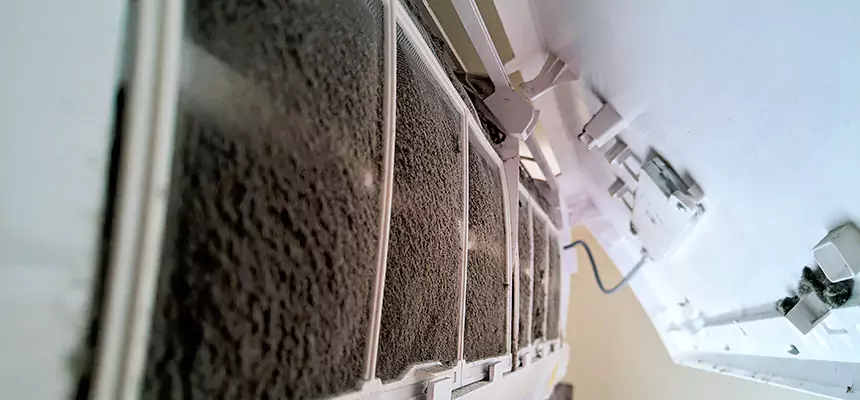 Preventive Air Duct Bacteria Removal in Holtsville