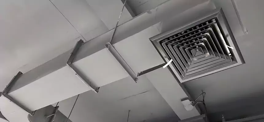 Restorative Allergy Relief Vent Cleaning – Coil, Blower & Housing Detail in Holtsville