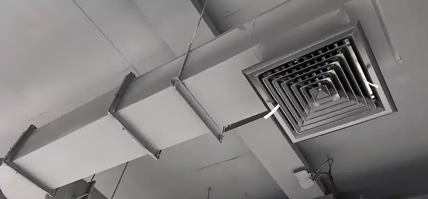 Our Pest Removal From Ducts Services in Holtsville, NY