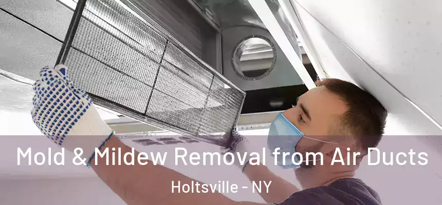  Mold & Mildew Removal from Air Ducts Holtsville - NY