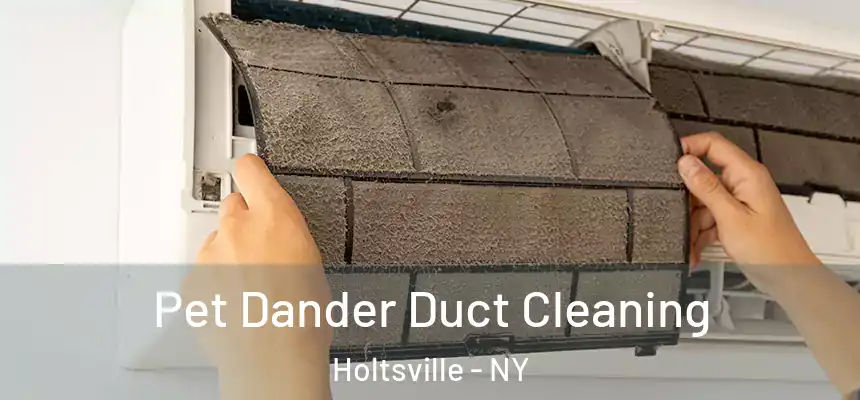  Pet Dander Duct Cleaning Holtsville - NY