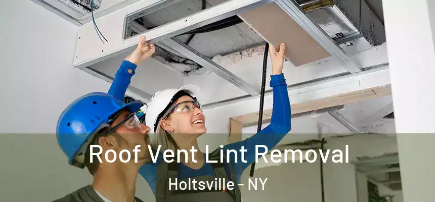  Roof Vent Lint Removal Holtsville - NY