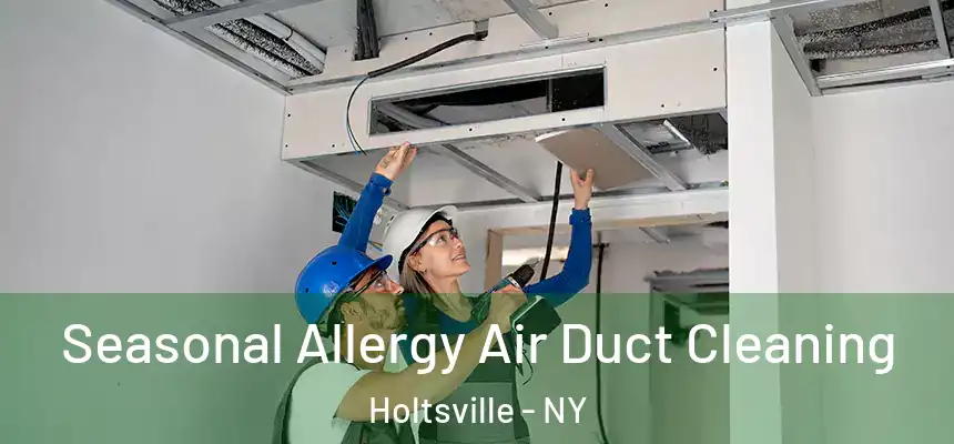  Seasonal Allergy Air Duct Cleaning Holtsville - NY