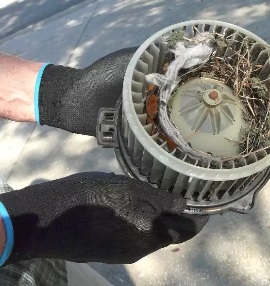 About Air Duct Mice Removal in Holtsville, NY