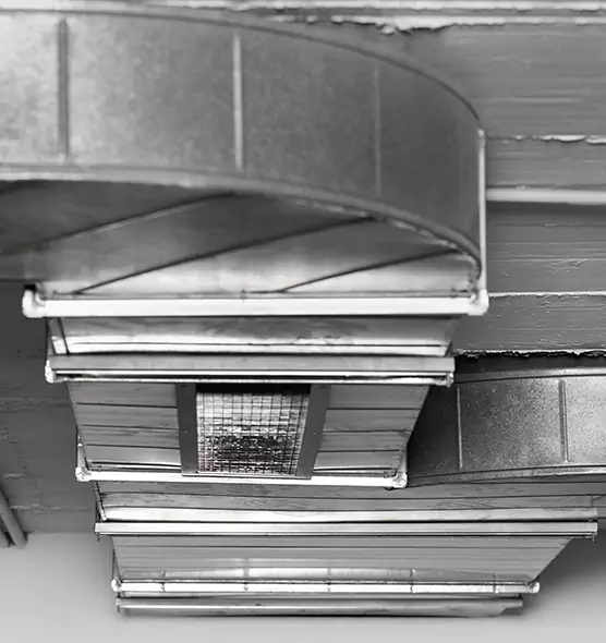 Professional Air Duct Pet Hair Removal in Holtsville, NY