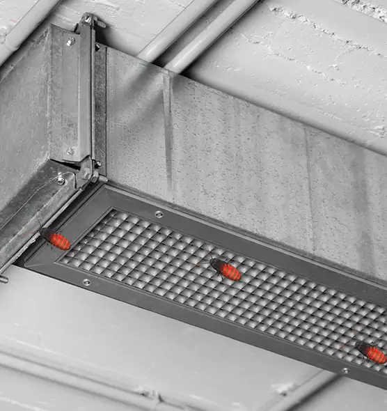 Affordable Insect Removal from Air Ducts in Holtsville, NY