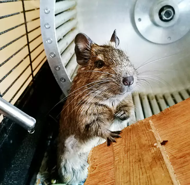 Why Homeowners & Businesses Trust Us Holtsville, NY