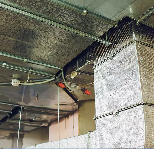 Why Homeowners & Businesses Trust Us Holtsville, NY?