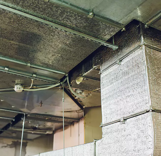 Why Homeowners & Businesses Trust Us in Holtsville, NY?