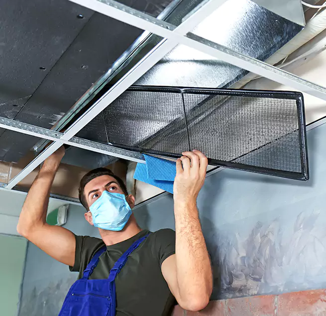 Why Homeowners & Businesses Trust Us in Holtsville, NY?